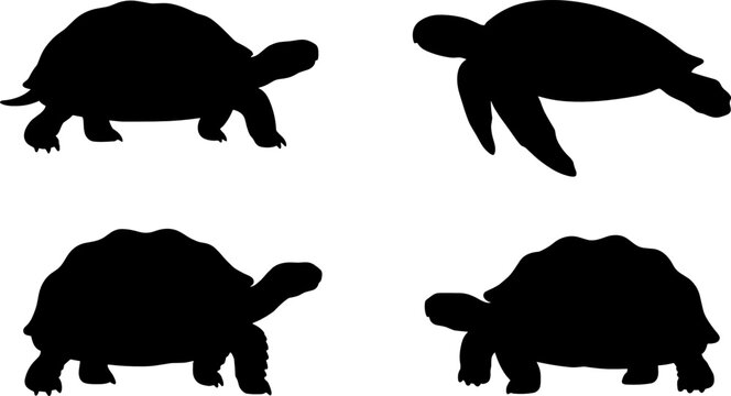 Wild Tortoise and Sea Turtle Silhouette Vector Icon Set Featuring Marine and Land Reptiles for Ocean, Safari, and Wildlife Conservation Designs