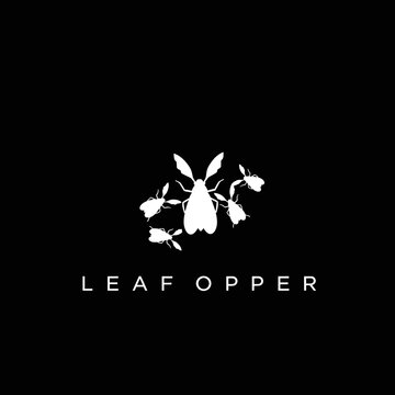 Leaf Hopper Insect Vector Silhouette Collection Isolated on Black Background Minimalist Design