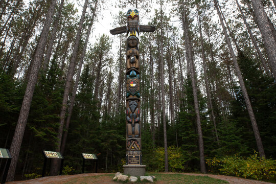Totem Pole in Forest Woodland Algonquin Park Canada