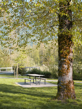 Cheam Lake Wetlands Regional Park during a spring season in Rosedale, Fraser Valley, British Columbia, Canada