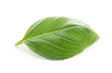 Fototapeta premium One fresh basil leaf isolated on white