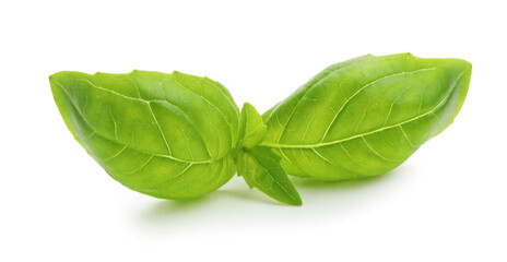 Obraz premium Fresh green basil leaves isolated on white