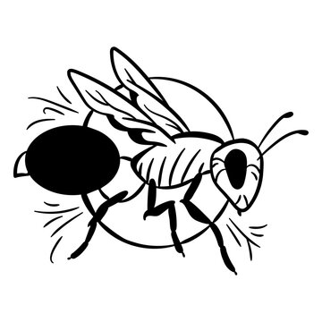 Flying bee with circular background