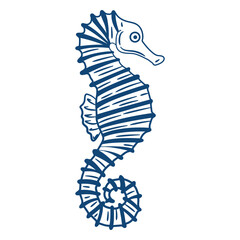 Sea horse design © Vexels