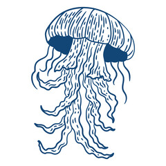 Elegant jellyfish illustration design © Vexels