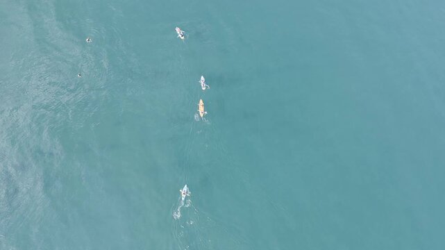 Vertical top-down drone footage of people paddling in kayaks and on stand-up paddleboards (SUP) in crystal clear turquoise water. The shot captures the bright colors of the boats against the transpare