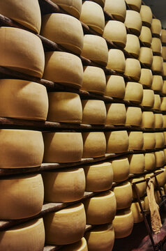 Wheels of Parmigiano Reggiano cheese aging on wooden shelves in an Italian maturation room, Parma, Italy, Europe
