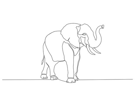 Elephant continuous line. Continuous one line drawing of elephant. Big animal concept. Single line drawing