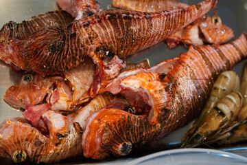 Close-up of fresh lionfish (Pterois) prepared for cooking on a metal tray. © Vladyslav