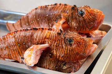 Close-up of fresh lionfish (Pterois) prepared for cooking on a metal tray.  © Vladyslav