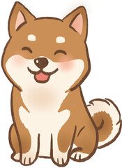Fototapeta premium Shiba Inu