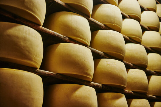 Wheels of Parmigiano Reggiano cheese aging on wooden shelves in an Italian maturation room, Parma, Italy, Europe