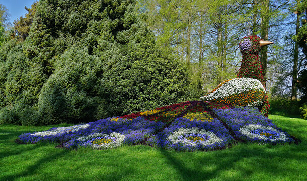 Blumenarrangement auf der Insel Mainau auf dem Bodensee; Baden W&uuml;rttemberg