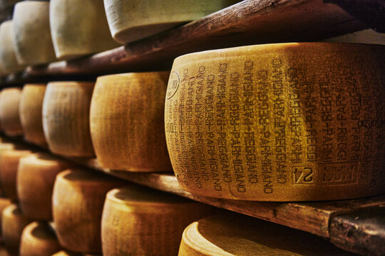 Wheels of Parmigiano Reggiano cheese aging on wooden shelves in an Italian maturation room, Parma, Italy, Europe
