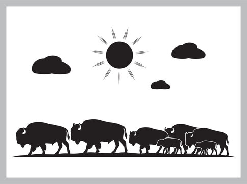 Bison Herd Walking Across Great Plains Horizon Silhouette