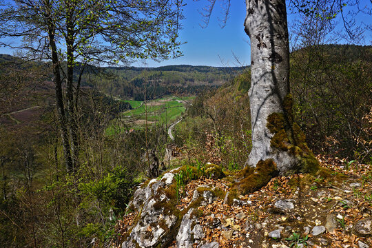 Naturpark Obere Donau; Blick ins B&auml;rathal im Naturraum Hohe Schwabenalb; Schw&auml;bische Alb;