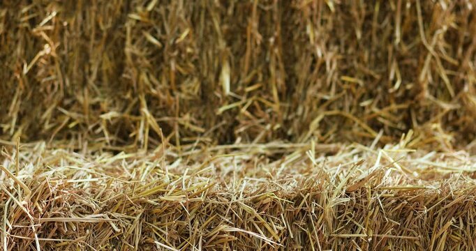 Hay bale for natural product display, Straw stack for organic advertising, soft green bokeh background and sunlight, ideal for agriculture themes, Natural backdrop and mockup use
