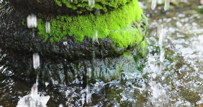 Water droplets falling on vivid green moss covered rock in nature. Relaxing natural scene with fresh flowing water, ideal for spa, wellness, ecology, and background footage