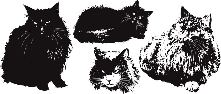 Silhouettes of four cats in different sitting and resting poses with fluffy fur textures