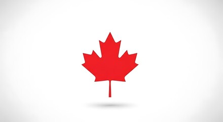 Fototapeta premium Red maple leaf isolated on white background with soft shadow