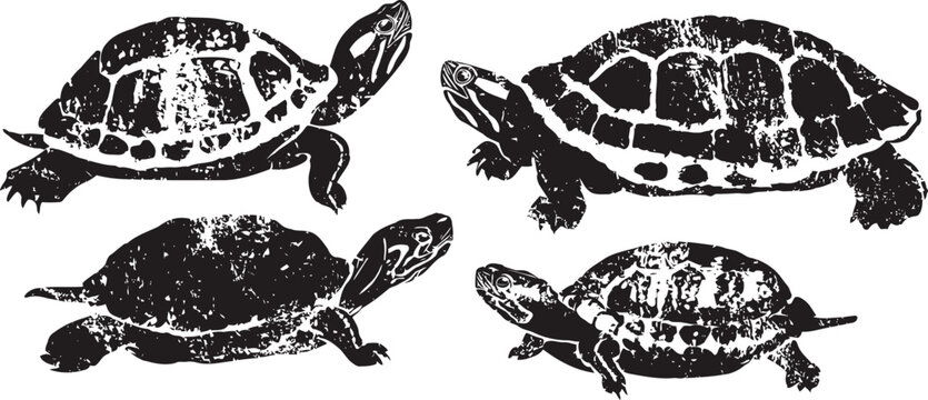 Four vintage turtle illustrations black and white reptile sketches with textured shell and detailed limbs