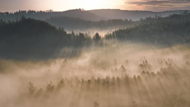 Misty Forest Landscape with Sunbeams at Sunrise