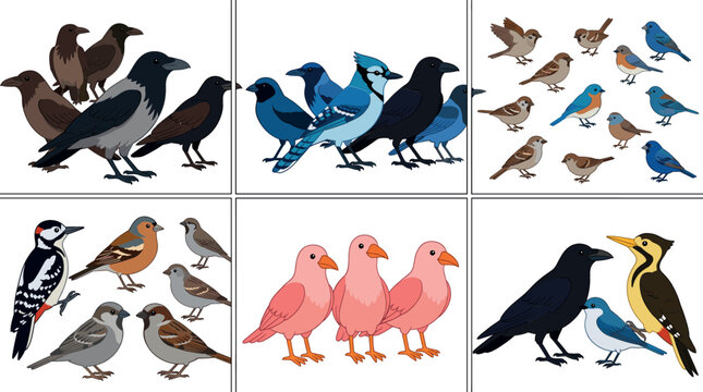 Wild birds collection vector illustration set featuring groups of crows blue jays sparrows woodpeckers and pink flamingos or songbirds isolated on white background