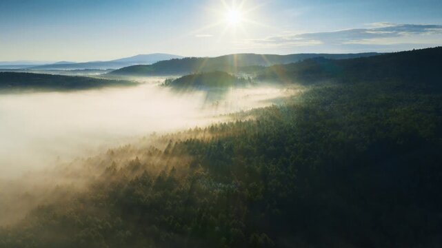 Sunrise illuminating misty mountain forest landscape