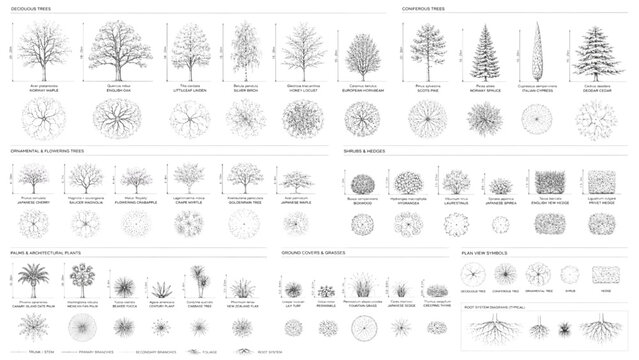 Collection of Architectural Tree Symbols for CAD Software and Landscape Design