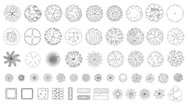 Extensive CAD library of top-view plant symbols, offering diverse trees and shrubs for precise architectural and landscape design plans and detailed site layouts
