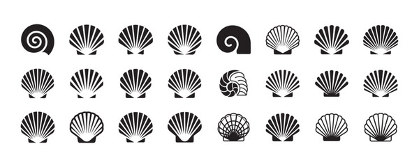 Collection of various seashell illustrations featuring different spiral and bivalve shapes designed for maritime themes oceanic decor beach concepts and nature graphics. © Vectors-Stock