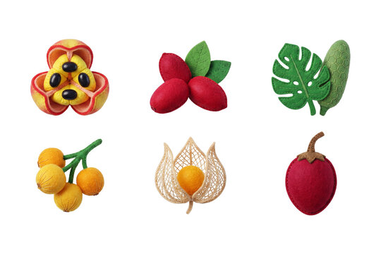 3D render set of exotic and tropical fruit icons in soft felt style featuring ackee, miracle fruit, monstera deliciosa, langsat, physalis, and tamarillo