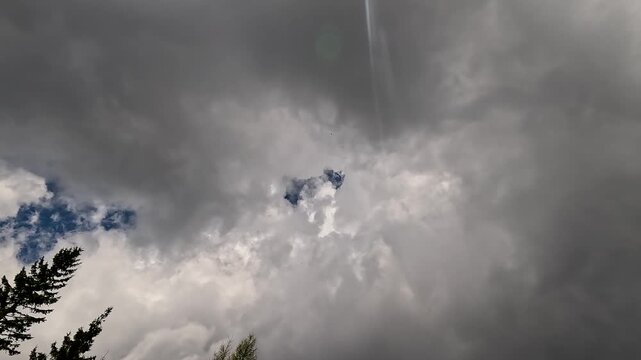 Single bird flying through a small patch of blue sky among dramatic, dark storm clouds