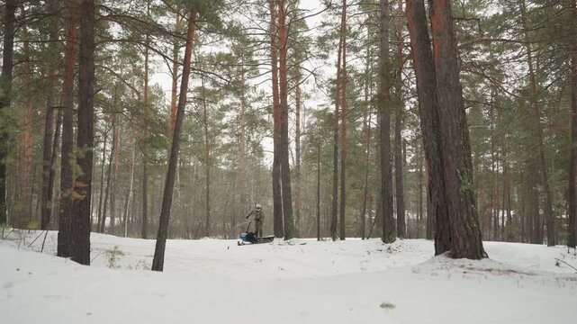 Snowy pine forest with lone atv rider paused between trunks, gentle snowfall and muted overcast light, wide lowangle panorama, offroad adventure and quiet exploration of remote winter wilderness