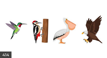 Fototapeta premium Set of various birds including hummingbird, woodpecker, pelican, and bald eagle