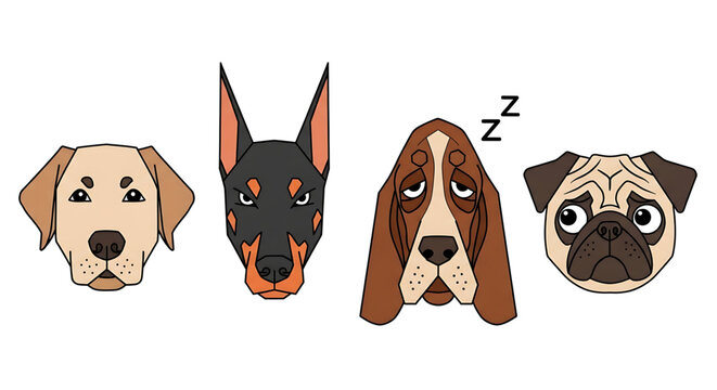 Set of four different dog breeds, vector illustration of labrador, doberman, basset hound and pug