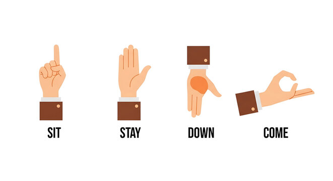 Set of hand gestures for dog training commands