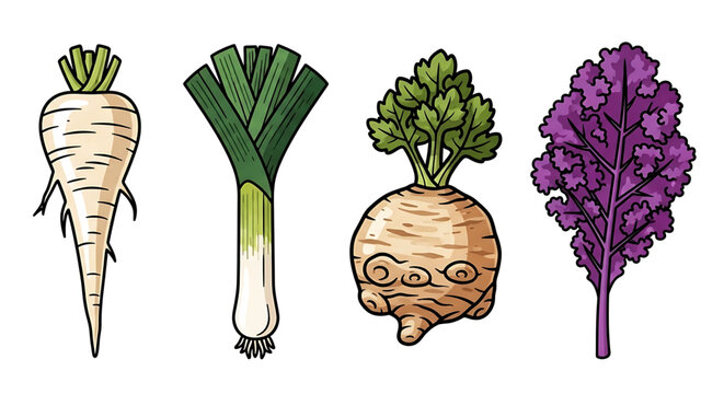Set of fresh vegetables including parsnip, leek, celeriac and purple kale