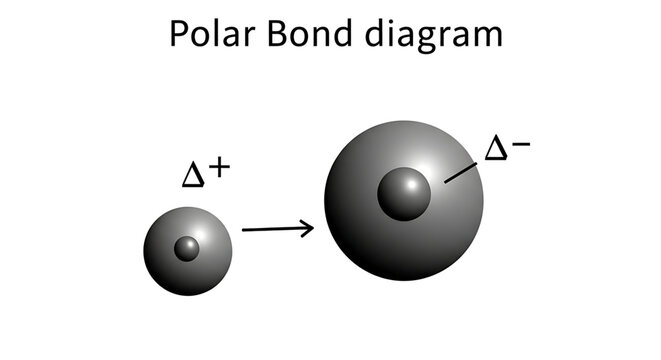 Polar bond diagram showing unequal sharing of electrons between two atoms with partial positive and partial negative charges