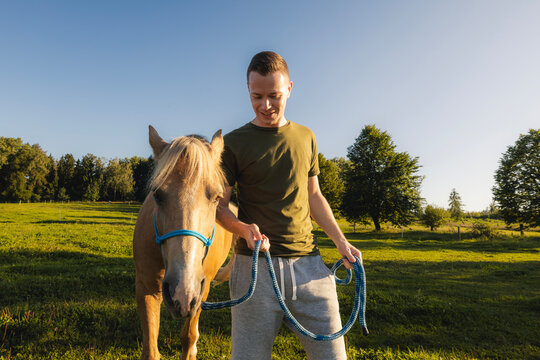 Man leading horse on meadow during hippotherapy session on sunny day. Animal assisted therapy, rehabilitation, outdoor activity and healthcare concept.
