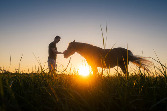 Silhouette of man stroking horse during hippotherapy session at sunset. Animal assisted therapy, emotional connection, wellness and rehabilitation concept.
