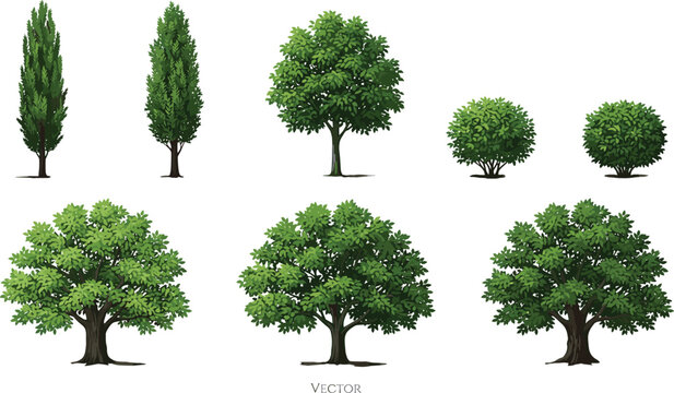 Realistic Green Tree Vector Set Featuring Detailed Oak Cypress and Shrub Shrubbery Elements for Landscape Architecture Renderings and Botanical Illustration Layouts