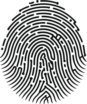 Detailed black and white fingerprint pattern showing unique ridge formations and minutiae. Vector