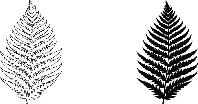 Fern leaf vector illustration outline and solid silhouette forest plant foliage collection.