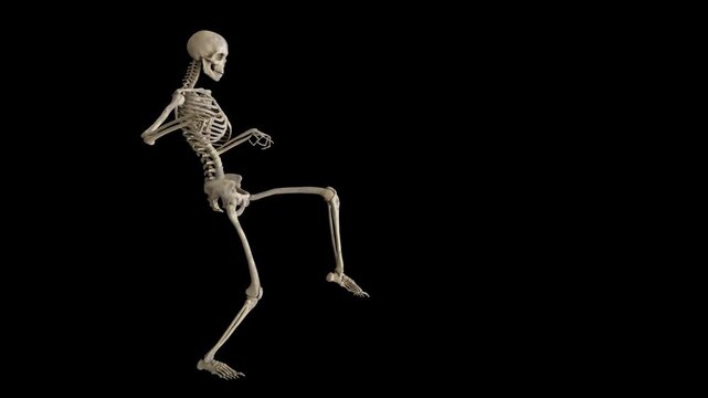 Animated skeleton running in slow motion on black background isolated human bones moving fast