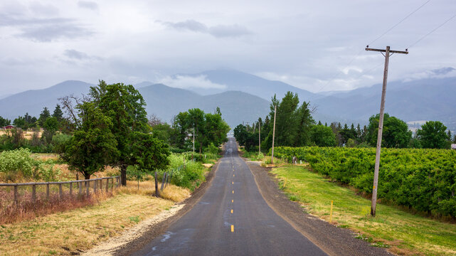 Country Road In Southern Oregon On A Rainy Day