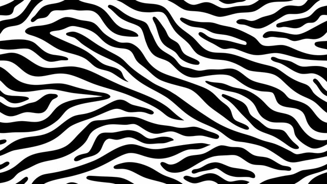 Seamless zebra stripe pattern black and white animal print with organic shapes