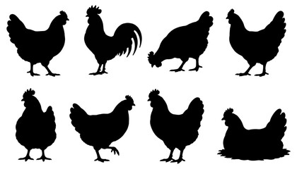 Black Chicken Silhouette Collection with Hen and Rooster Farm Bird Poses Illustration Set © Fiona