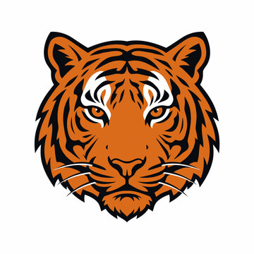 Vibrant Orange Tiger Head Illustration.