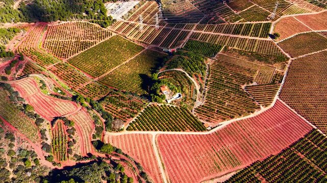 Geometric farm plots with orange trees and red soil terraces. A small rural building among green vegetation and power lines. Aerial view of terraced agriculture fields and citrus orchards in Spain